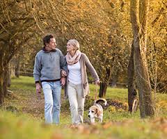 Plan for your Self-directed retirement